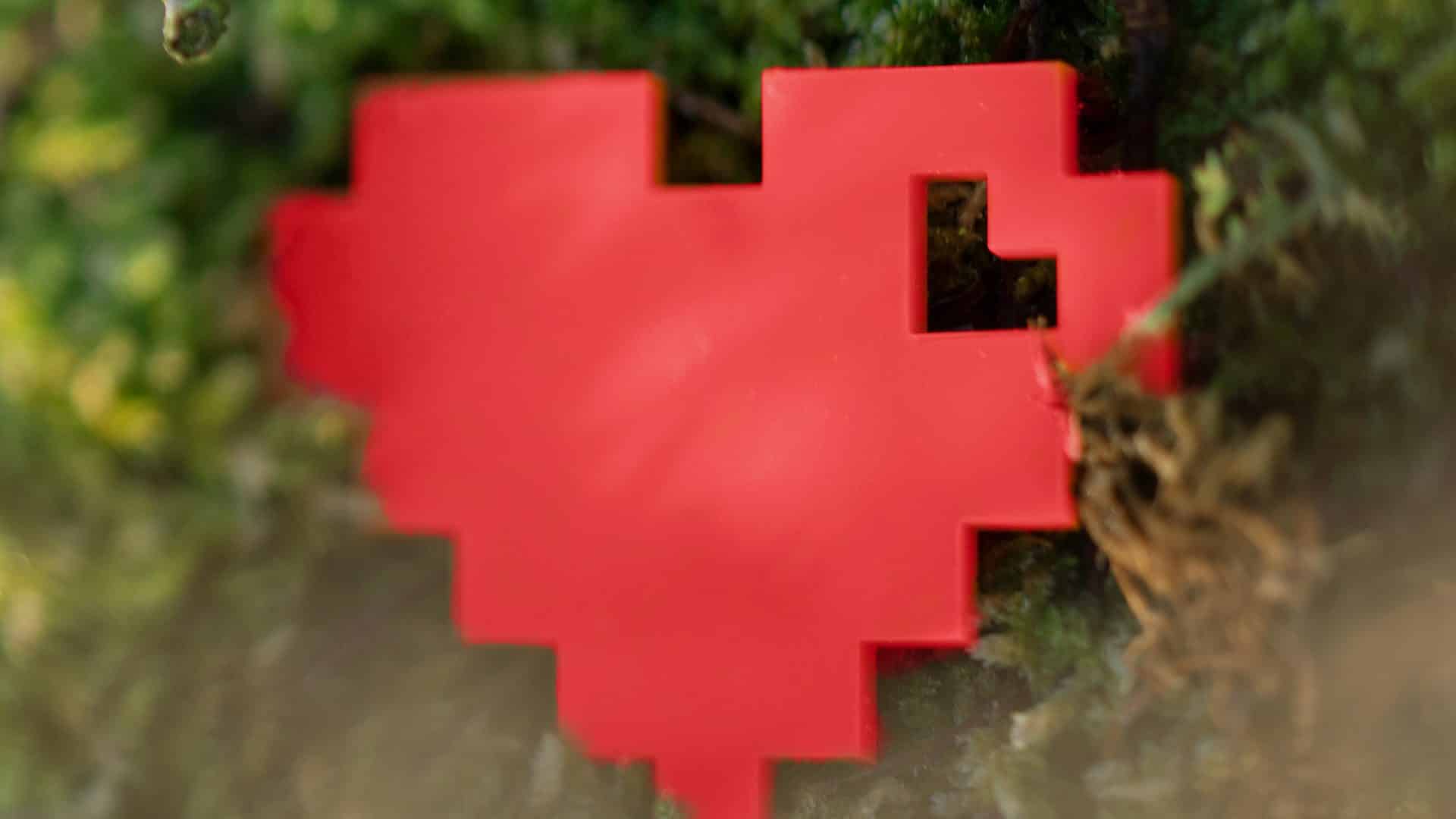 internetstiftelsens hjärta i mossa